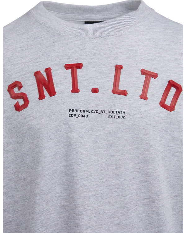 St. Goliath Diamond L/S Tee Snow Marle Boys 8-16
