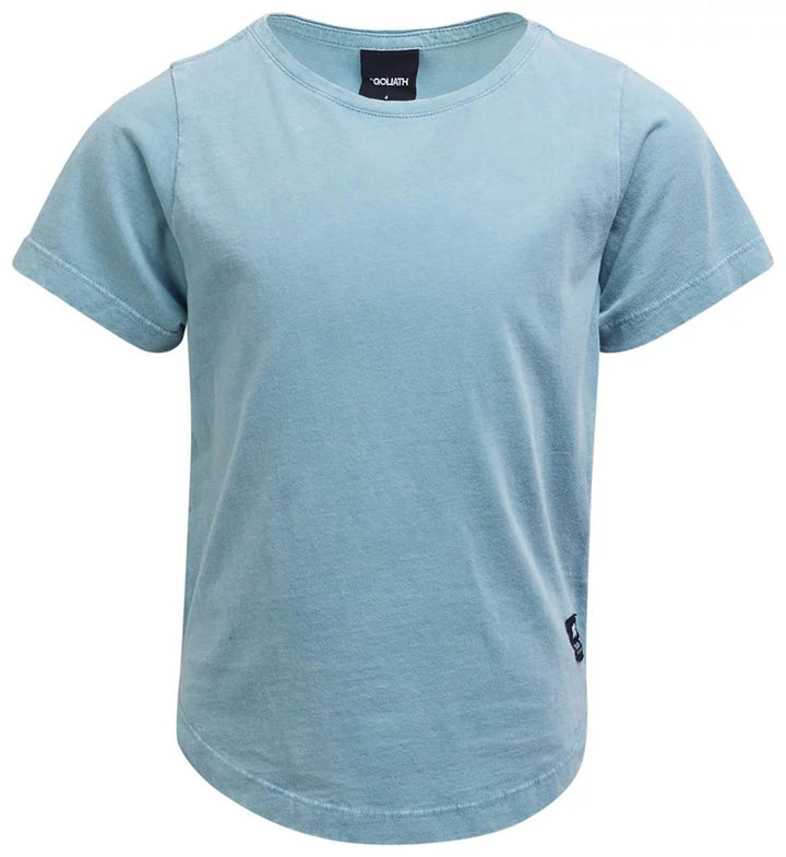 St. Goliath Acid Tee 2PK Sea and Grey Boys 10