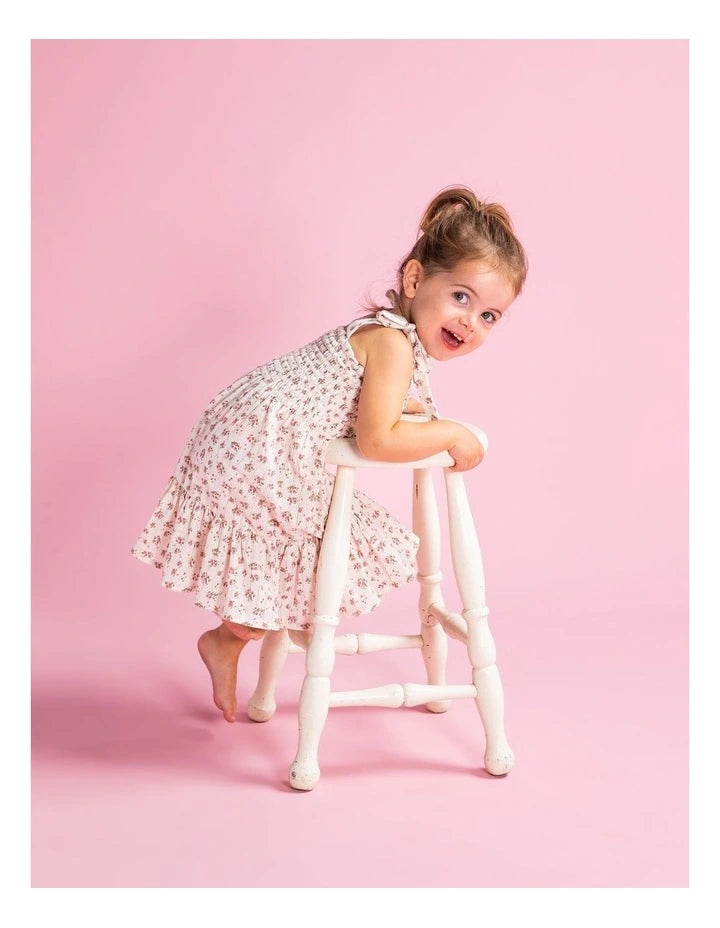 Animal Crackers Orchard Dress