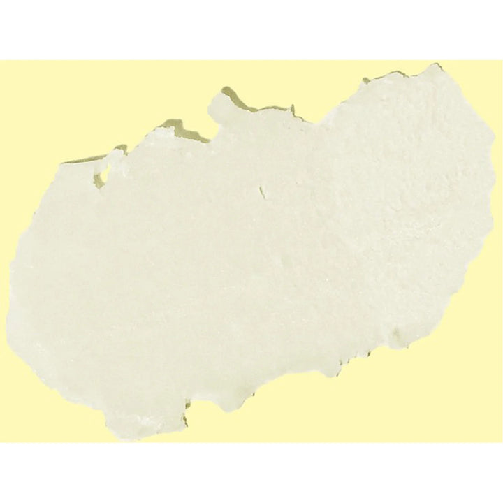 SunBum Original SPF 15 Lip Balm Coconut